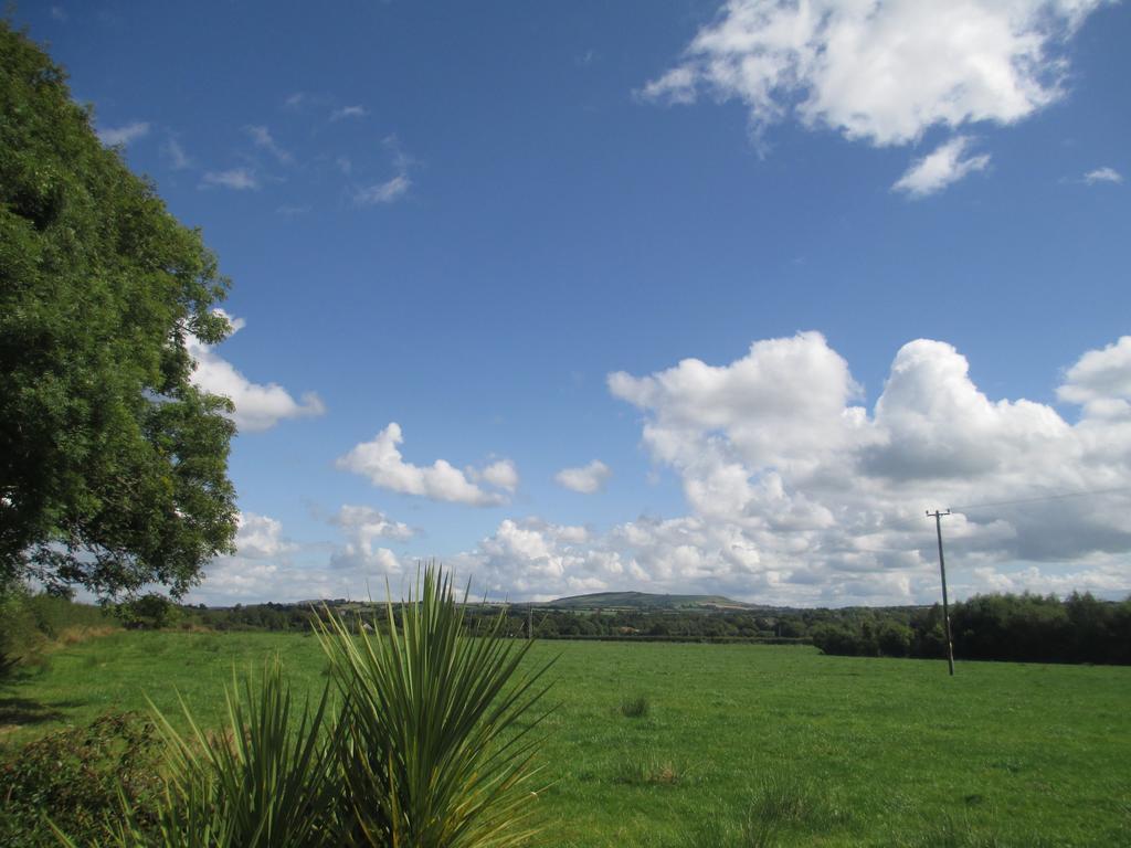 Tralia Farmhouse Self Catering Farranfore Extérieur photo