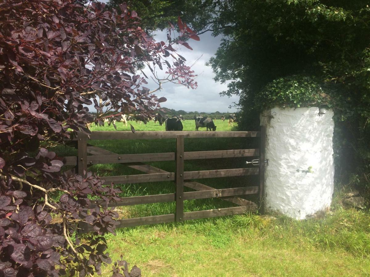 Tralia Farmhouse Self Catering Farranfore Extérieur photo
